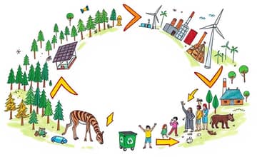 La economía circular: finanzas con propósito y sostenibilidad